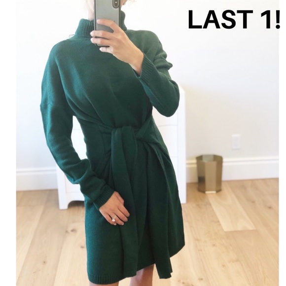 TORREY PINES Green Tie Turtleneck Sweater Dress - Picture 1 of 11